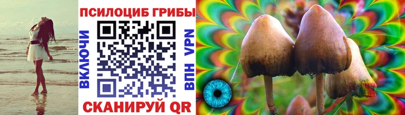 ОМГ ОМГ ТОР  купить   Артёмовск  Псилоцибиновые грибы GOLDEN TEACHER 